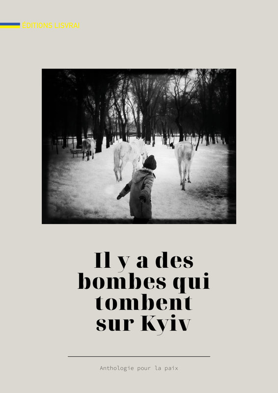 il-y-a-des-bombes-qui-tombent-sur-kyiv-couv_orig.jpg